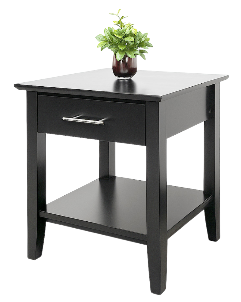 Sutton Black End Table, a modern side table with drawer and shelf, topped with a small potted plant.