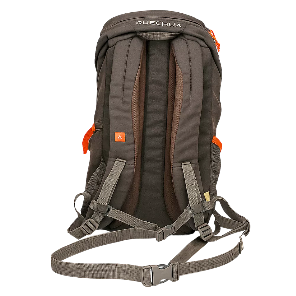 Rear view of the Quechua Arpenaz Backpack showing padded shoulder straps and adjustable chest buckle.