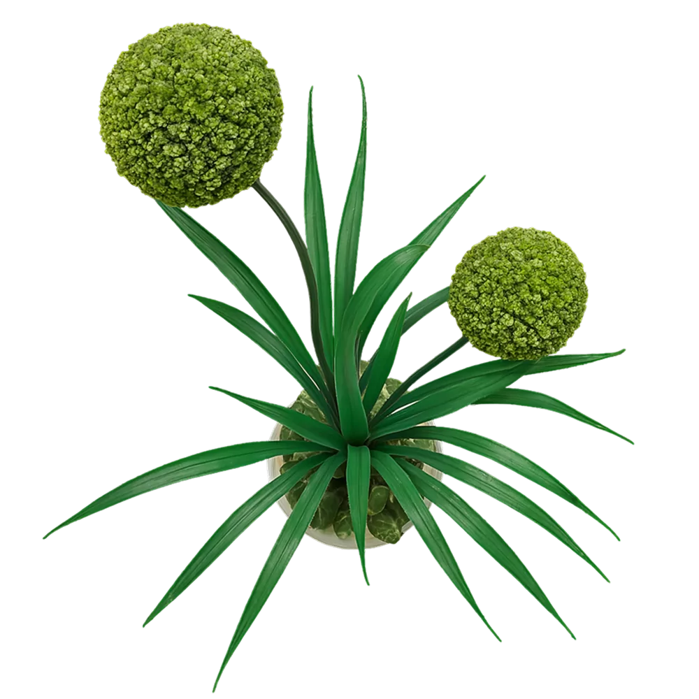 Mű Topiary Rendezet műnövény két gömb alakú zöld lombozattal, fehér cserépben termékoldalon.